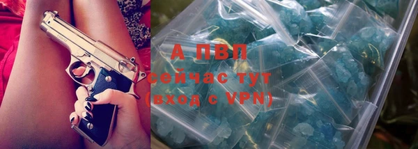 стаф Абинск