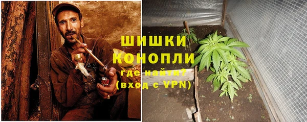 гидра Алексеевка