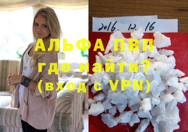 стаф Абинск