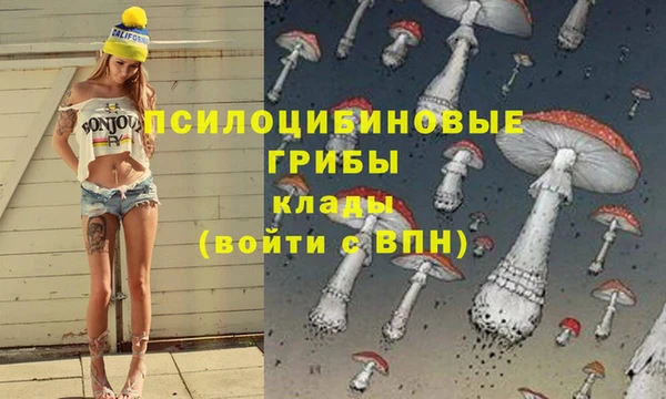 гидра Алексеевка